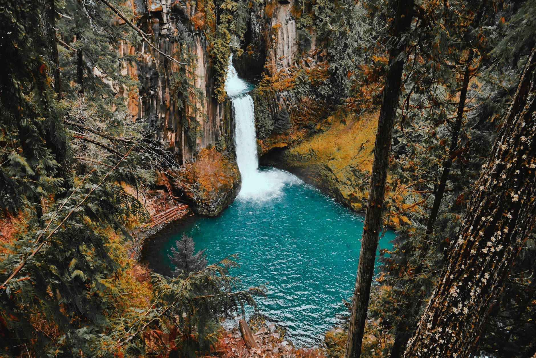 time lapse photo of water falls in the forest